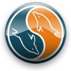 Daily Mysql tweets.