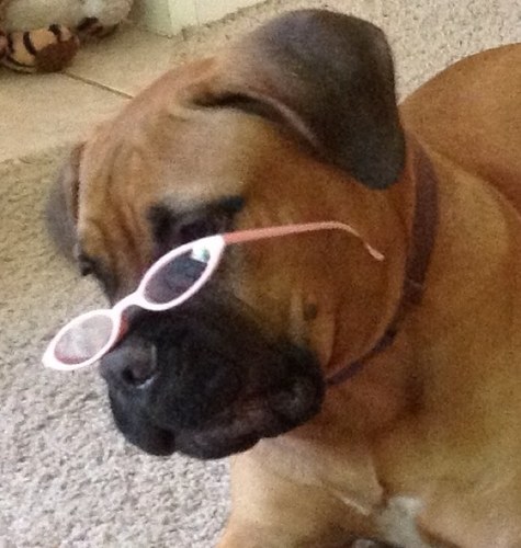 sharkhurst Profile Picture
