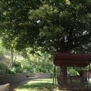 Tom McIntosh - @mcintosh_tommc - Twitter