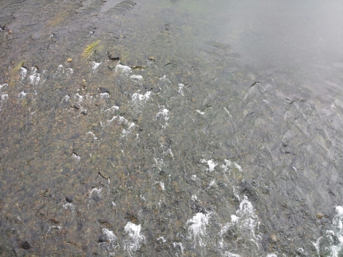 emptyphone's profile picture. 그냥 그냥..