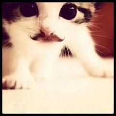 ™ ♥►sιguǝmǝ &&' t℮ sιgσ!!◄ ♥ 
                        †