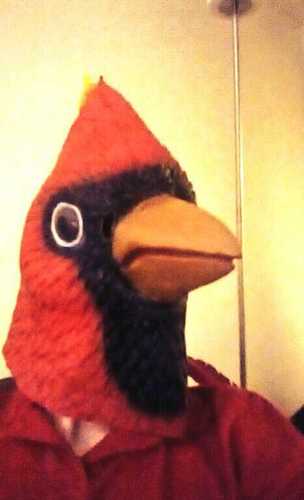 CamCamsz's profile picture. It's going good.