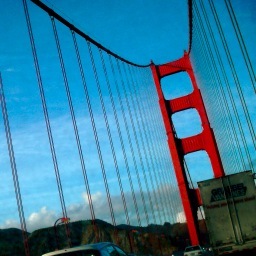 shell432's profile picture. 