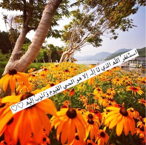وَ بِـذكر الرّحمٰن تتطمَئِن القلوب♡