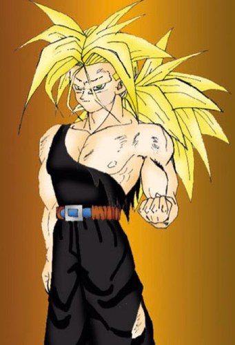 (:Hola soy truncks sigeme mi padre es vegeta mi madre es bulma mi hermana es bra:)