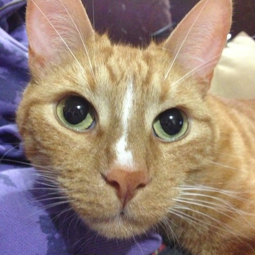 AprilLuey's profile picture. 