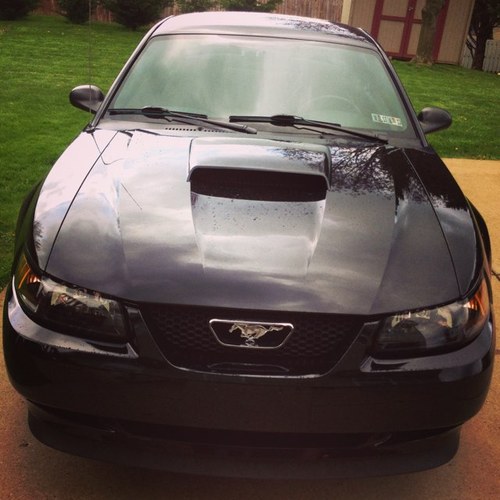 joshschwein's profile picture. 