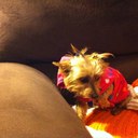 Glenda Wright - @suzieq2051 - Twitter