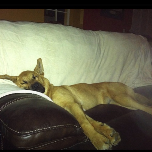 Juanbond7's profile picture. 