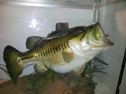 4thedrew's profile picture. 