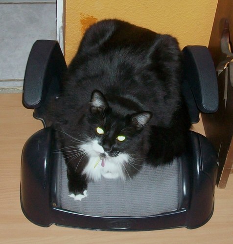 ajb6273's profile picture. Family guy, Sports fan, game lover.