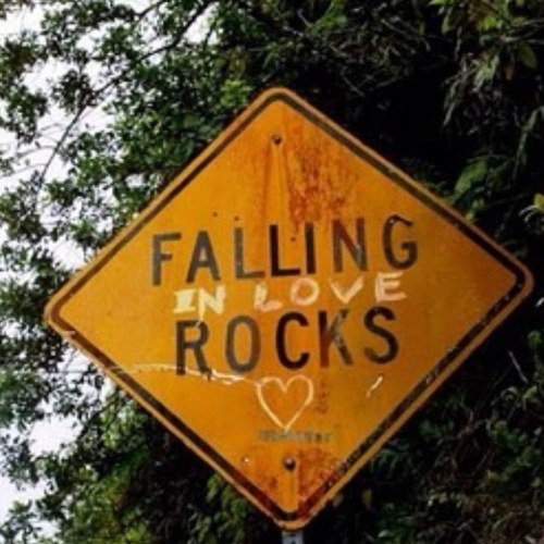 iristokracy's profile picture. 