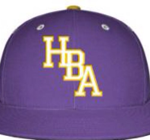 Houston Baseball Academy will be an INSIDE THE LOOP facility with private instruction, cage rentals, pro-shop, parties, and much more.