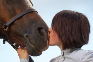 Im 14 i have 3 horses named Max, JoeC and Dylan, aged 4, 3 and 15