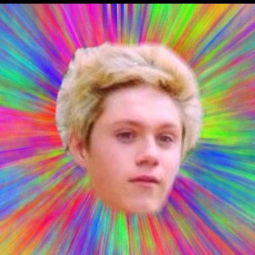 niallsmofo1d's profile picture. Fan-girling over the same five mofos just like everyone else, June 1st, Best day of my life. 0/5 of the boys follow, yeah im cool... #TBCI