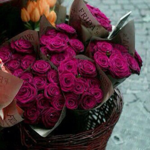 تمنوا ، ادعوا ، ابتسموا ، و توكلوا [ فـ ربكم كريم ]  آلحمدالله