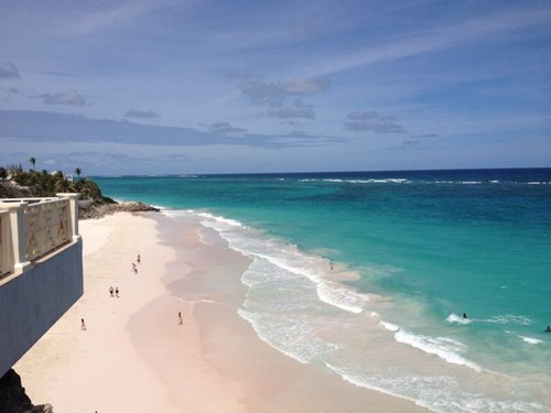 tina57869937's profile picture. 