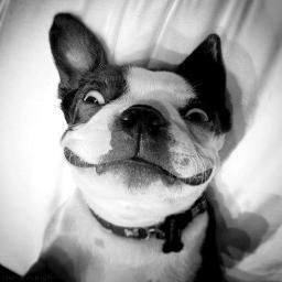 14. Sacándote Sonrisas desde 1998. Muchos me conocen, pero pocos saben quien soy.