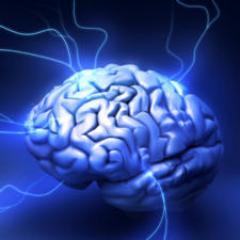 Constant absorption and processing of information.