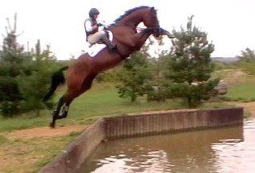 You see that invisible (insert object here)? Yeah, my horse just spooked at it. 2 owners.