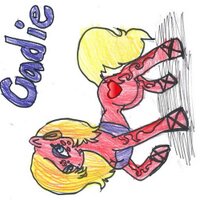 Cadie Runs (@mlp_cadieruns) 's Twitter Profile
