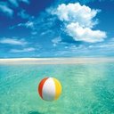 Laura Woolf - @wolfekidlaura - Twitter