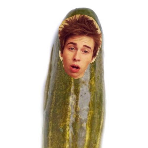 hi i'm dylpickle // if you dont ship taylan, you're doing it wrong (-: //