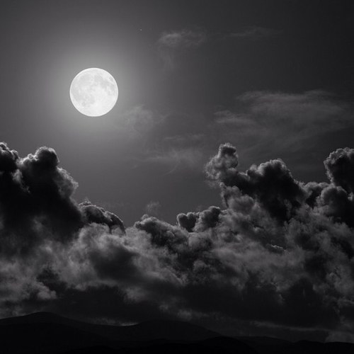 DanielleNPopp's profile picture. ☮&❤