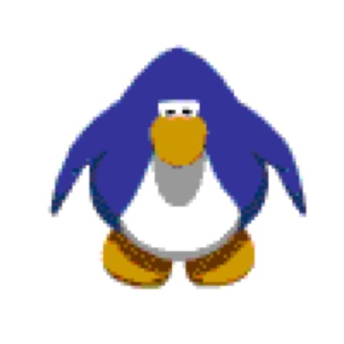 alexdimauro Profile Picture