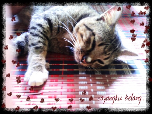 RafeahRaffik's profile picture. life only once...appreceite it!!!!