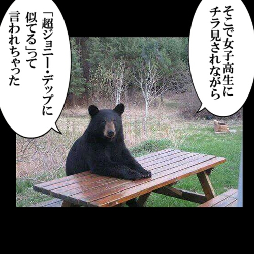 くまさん