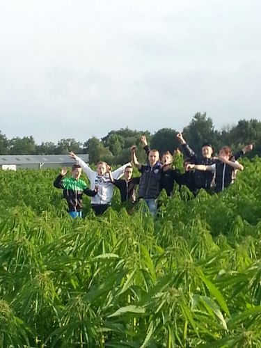 NAuwema's profile picture. Ronerborg klas 3A-HJC-Een-West HAULERWIJK