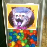 Devin (@devm0) 's Twitter Profile