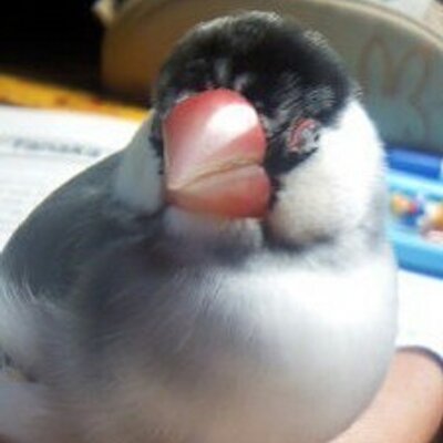 まぃ على تويتر 完全に宿泊研修を思い出すww Boketesurre しずかちゃん ねぇしずかちゃん もうジャイアン意識ないよ Http T Co 9tx6ifsifl