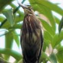 Ebony Kendall - @DouglaGladysh - Twitter