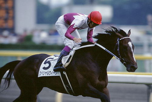 spweek317's profile picture. 畝傍/立教