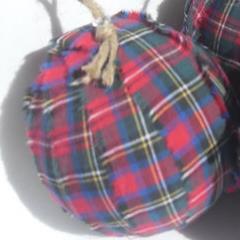 My name is Terry the Testicle & I am my own ball. I give top football tips and have inside information at all the top clubs