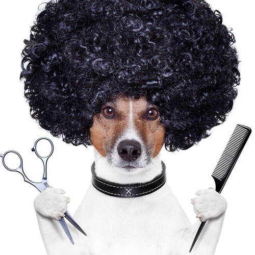 CavdarUfuk's profile picture. 