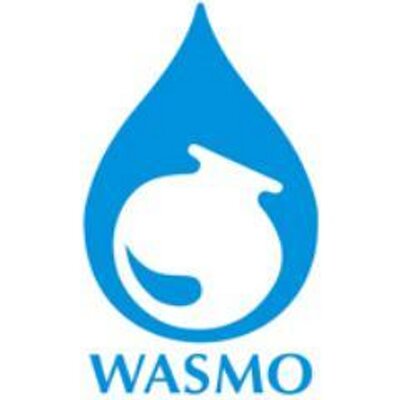 wasmo wasmo