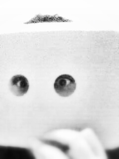 SubwowFer's profile picture. That's how festive I am.