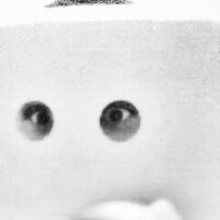 Wowfer (@subwowfer) 's Twitter Profile