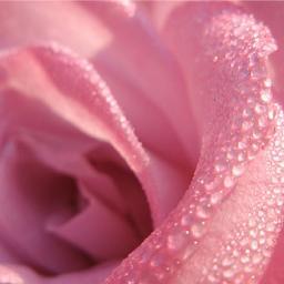 Real love is accepting other people the way they are without trying to change them.- don Miguel Ruiz