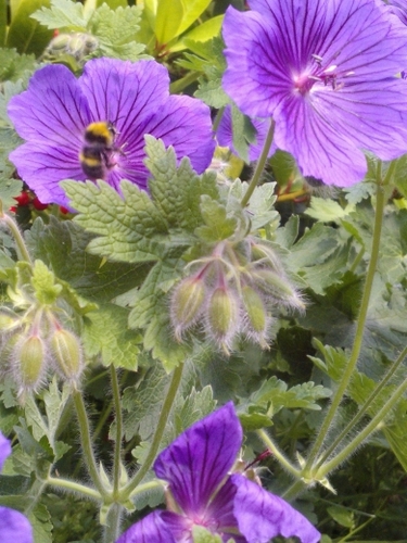 tattyead66's profile picture. 