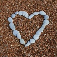 Angela Webb (@busywebb) 's Twitter Profile Photo