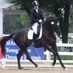 Catherine Reid (@reidsporthorses) Twitter profile photo