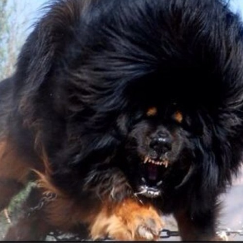 GuinJones's profile picture. Actions speak louder than words