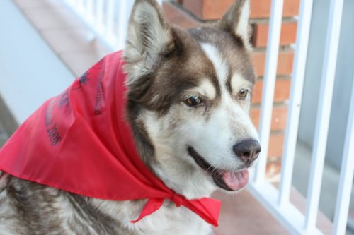 leiva79's profile picture. 