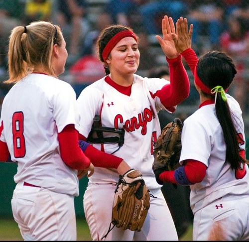 Just like Girl Code, but a lot more about softball. #SoftballCode