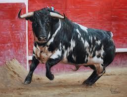 Brunojv10's profile picture. 