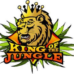 93JungleJungle Profile Picture